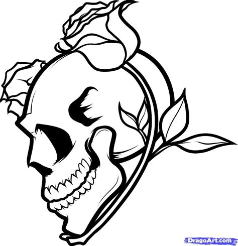 How To Draw A Skull And Roses Skull And Roses Step 9 Skulls Drawing