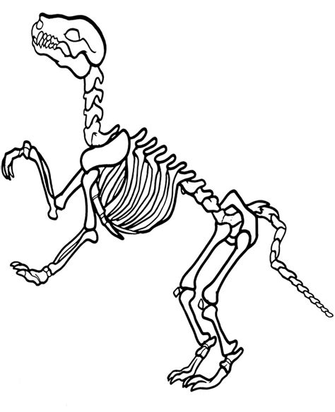 Printable Dinosaur Skeleton