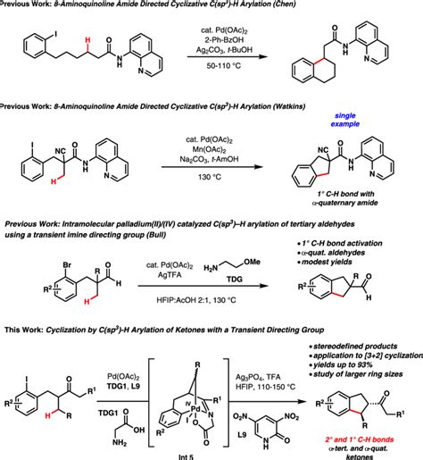 Scheme Pd Ii Catalyzed Cyclization By Carbonyl Directed C Sp H Download Scientific