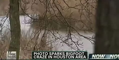 Bigfoot Evidence Texas Bigfoot Sighting Featured On Fox News