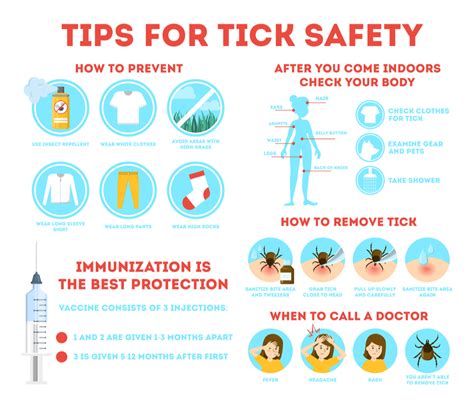 Tick Prevention Tips Mulholland Pest Control