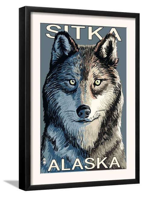 Sitka Alaska Wolf Up Close C2009 Framed Art Print Wall Art 13