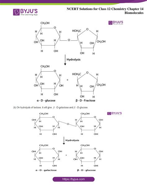 Ncert Solutions Class 12 Chemistry Chapter 14 Biomolecules Free Download