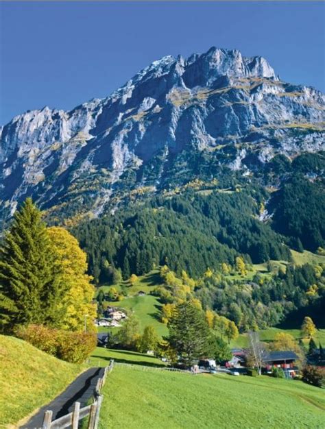 Grindelwald Swiss Alps Canton Bern Switzerland Places To Travel