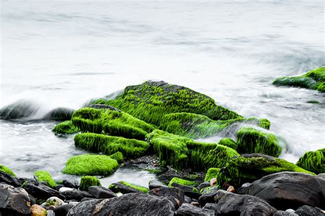 Sea Water Splash On Green And Black Rocks · Free Stock Photo