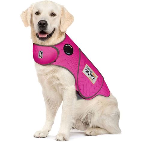 The Best Dog Anxiety Vest That Actually Works Trusty Tails Pet Care