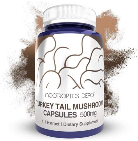 the 4 best turkey tail mushroom supplements to help your immunity