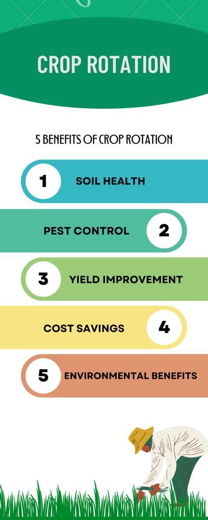 5 Benefits Of Crop Rotation For Sustainable Agriculture Crop Management