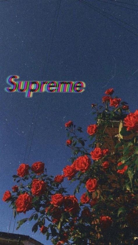 Supreme Aesthetic Wallpapers Wallpaper Cave