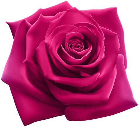Sep 01, 2021 · the minecraft mob skin, *~.pink daisy bee.~*, was posted by lilmilkpaws. Pink Rose PNG Clipart Image | Gallery Yopriceville - High ...