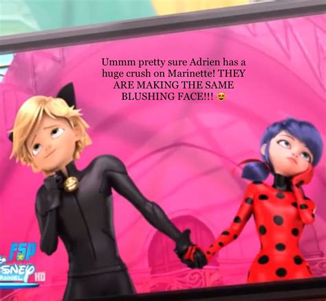 Come On We All Know Adrien Secretly Loves Marinette Miraculous