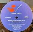 ROBERT ASHLEY "PERFECT LIVES" LP | EAD RECORD