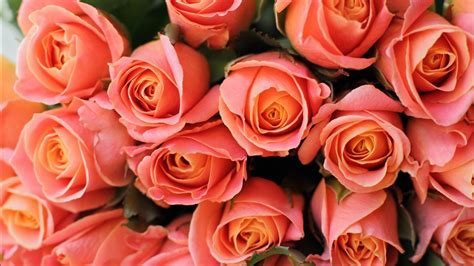 Bouquet Of Light Orange Rose Flowers 4k Hd Flowers Wallpapers Hd Wallpapers Id 55267