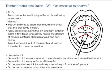 Techniques To Facilitate Swallowing In Direct Training