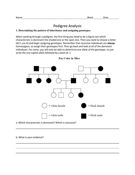 Pedigrees practice human genetic disorders key. Pedigree Analysis Worksheet Answers — excelguider.com