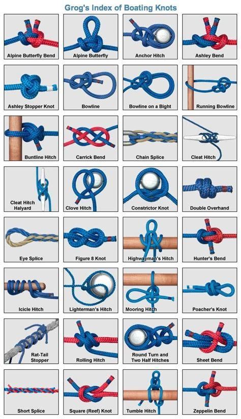 Pin By Jacobus Brand On Show Cattle In 2020 Knot Tying Tutorial