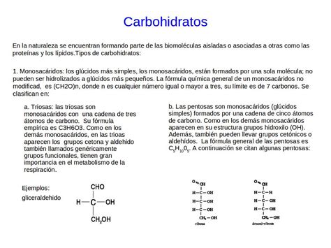 Caf Y Biolog A Lecci N Carbohidratos