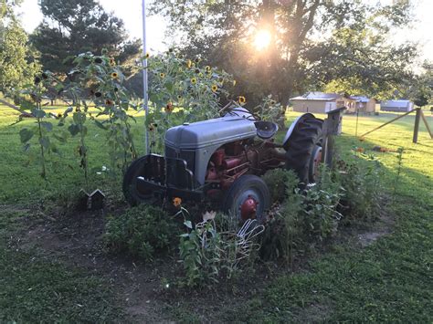 Starting My Flowerbed Around My Husbands 47 Ford Tractor Outdoor