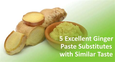 5 excellent ginger paste substitutes with similar taste
