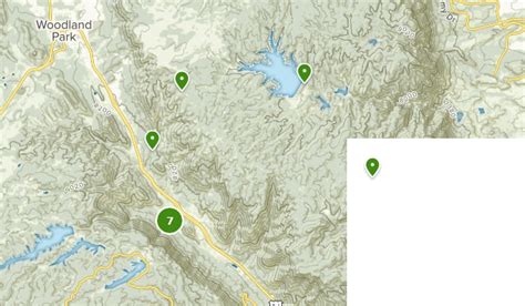 Best Wildlife Trails Near Green Mountain Falls Colorado
