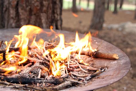 Free Images Dish Food Autumn Bbq Fire Fireplace Campfire Meat