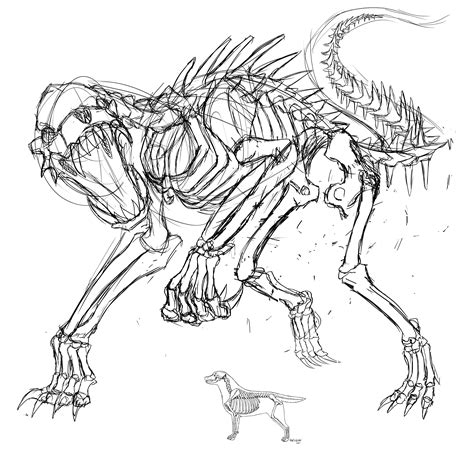 Dog asking owner for food. Dog Skeleton Skecth by MarinankeArt on DeviantArt