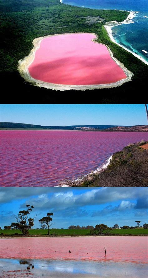Hillier Lake Western Australia The Worlds Only Naturally Occurring