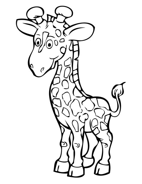 Cute Baby Giraffe For Preschool Kids Coloring Page Printable Images