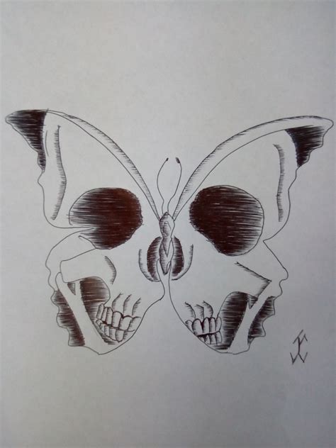 Bugsbutterfly08 Drawing Draw Pen Art Butterfly Bug Insects Skull