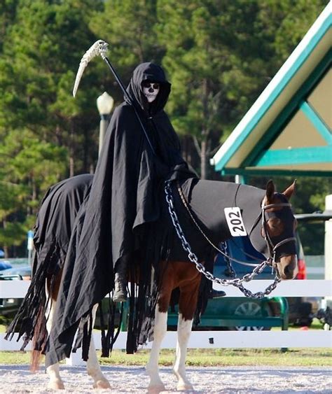 Grim Reaper Horse Halloween Costumes Horse Halloween Ideas Horse