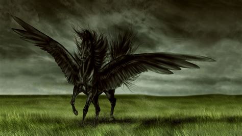 Black Pegasus Full Hd Wallpaper And Background Image 1920x1080 Id