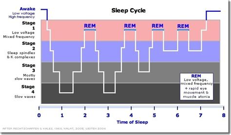 How Long Does Rem Sleep Last