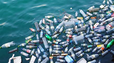 Effects Of Plastic Pollution On Aquatic And Human Life And How To