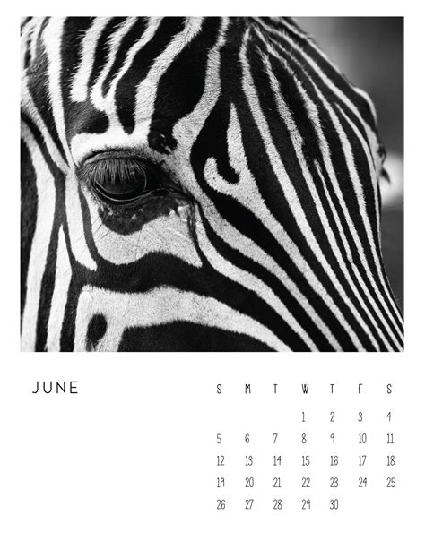 New May 2022 Calendar Free Printable Photos Gvytgn Plant Calendar 2022