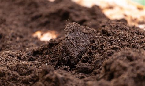 How Much Does A Yard Of Topsoil Weigh Calculation Guides