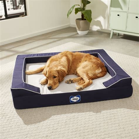 Sealy Lux Premium Orthopedic Bolster Dog Bed Wremovable Cover Large