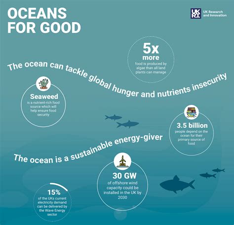 Infographic Oceans For Good