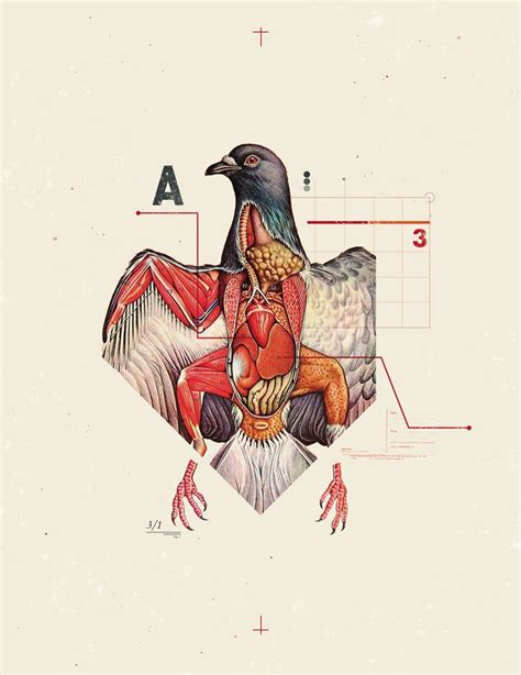 Pin By Guilherme Zamarioli On Illustration Illustration Scientific