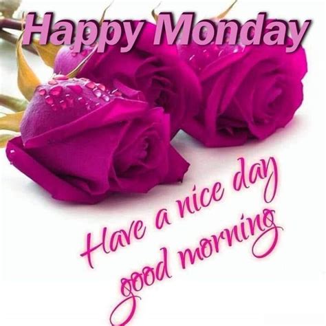 Wish a happy morning to your dear ones with our lovely collection of happy monday wish pictures, happy monday quotes, happy monday wallpapers you can free download, print or share these lovely good morning happy monday images, pictures through facebook, whatsapp or through any. Happy Monday, Have A Nice Day, Good Morning Pictures ...