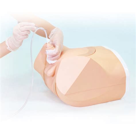 Male Catheterizationenema Simulator Kyoto Kagaku