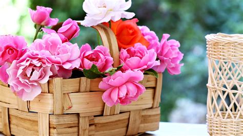 Basket Roses Flowers Gardens Spring Nature Beauty Love Romance Emotions Life