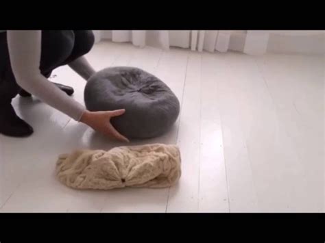 These shots are artistic in their own way. Unbelievable easy to use newborn photography prop ...