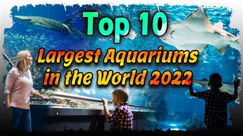 Top 10 Largest Aquariums In The World 2022 In 2022 World Home