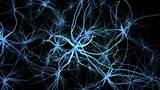 Photos of How Is A Neuron Similar To An Electric Wire