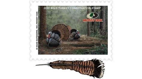 mossy oak releases inaugural wild turkey stamp for conservation an official journal of the nra