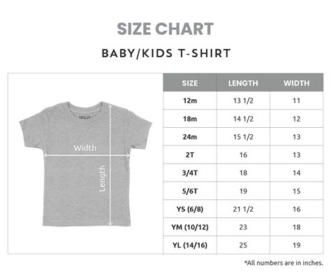 T Shirt Size Chart And Placement Graphic By Babygnom · Creative Fabrica