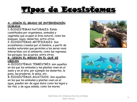 Page0006 1500×1125 Ecosistemas Tipos De Ecosistemas