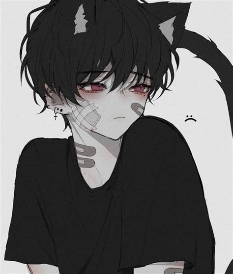 Pin By Quilu On ・icons In 2021 Black Cat Anime Anime Character