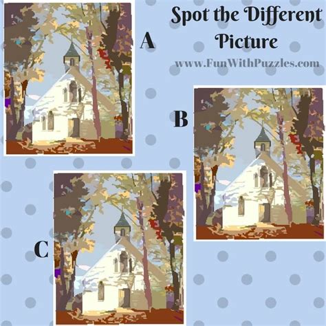 Spot The Different Picture Brain Teasers For Teens With Answers