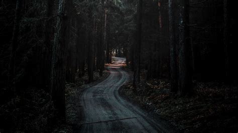 Road Forest 4k Wallpapers Wallpaper Cave